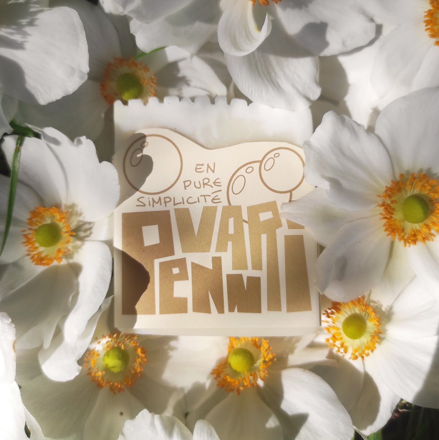 Penn Vari