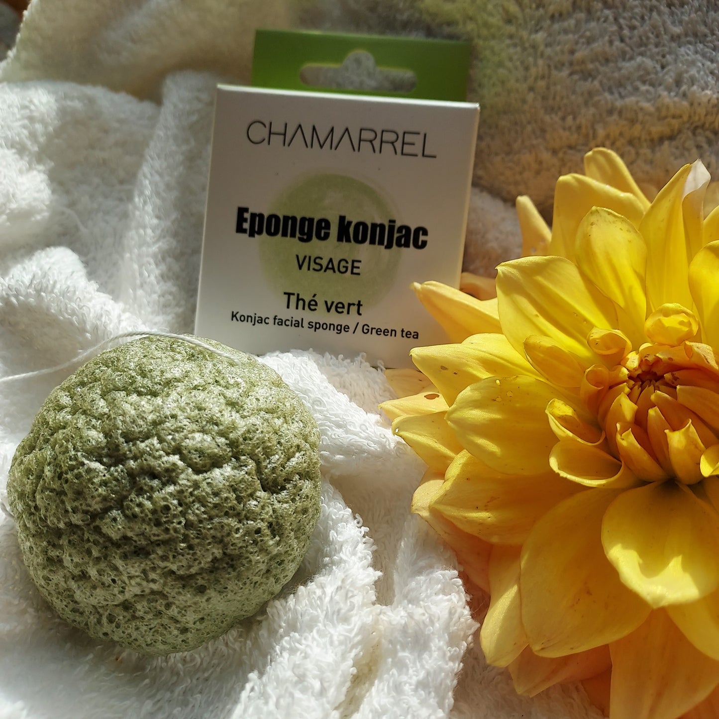 Éponge Konjac