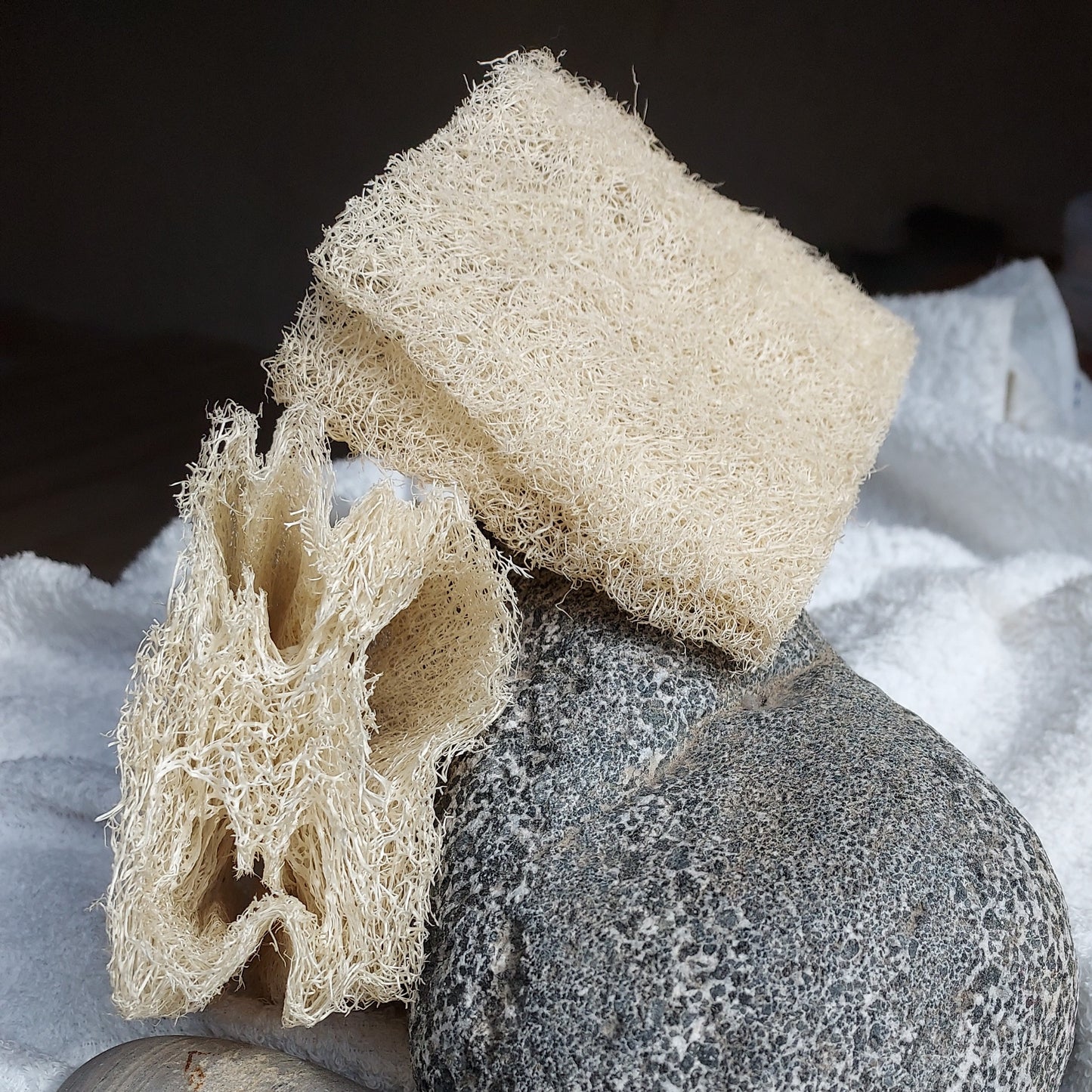 Éponge Luffa