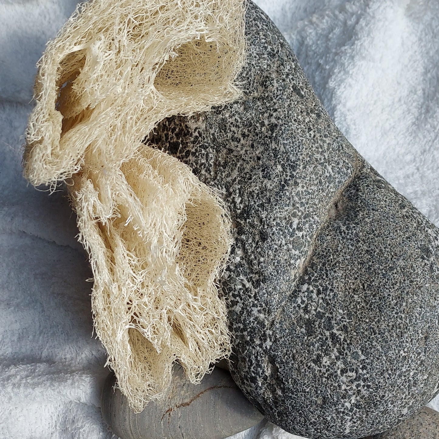 Éponge Luffa