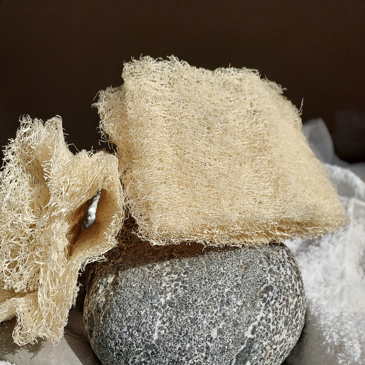 Éponge Luffa